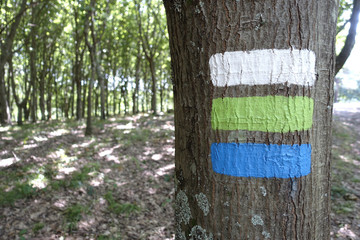 señalizacion de sendero