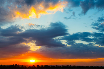 rural grove landscape at the sunset