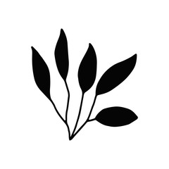 seaweed kelp. isolated silhouette. marine plant