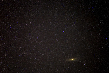 Fototapeta premium night sky background with Andromeda galaxy