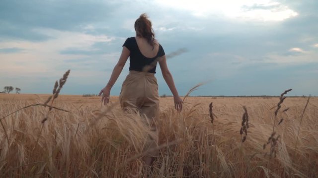Pretty caucasian young brunette woman walks the golden wheat field touching wheat heads at summer sunset evening. Slow motion footage.