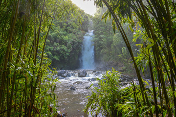 Tropical waterfall on the island of Maui, Hawaii framed through a forest of bamboo trees.