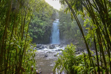 Schilderijen op glas Tropische waterval op het eiland Maui, Hawaii, omlijst door een bos van bamboebomen. © Mosto