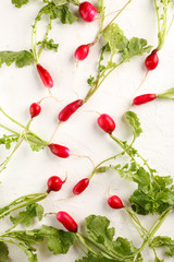 fresh harvest of young radishes with tops on white baclground. Top view. Flatlay
