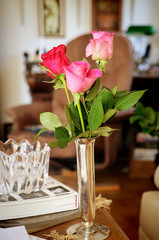 red and pink roses in silver vase, still life interiors, soft focus