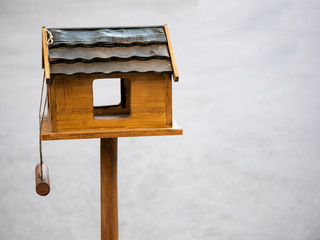 Wooden Bird House, Selected Focus