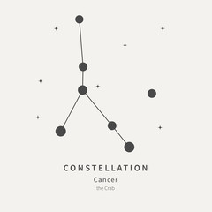 The Constellation Of Cancer. The Crab - linear icon. Vector illustration of the concept of astronomy.