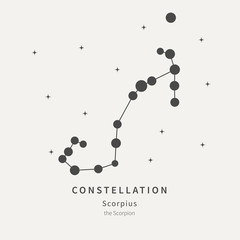 The Constellation Of Scorpius. The Scorpion - linear icon. Vector illustration of the concept of astronomy.