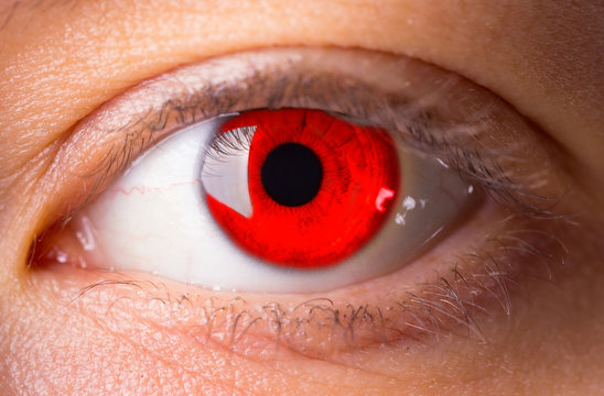 Red Blood Eye close up. halloween concept