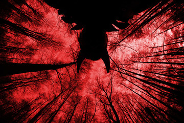 ghostly silhouette in spooky dark forest. halloween concept