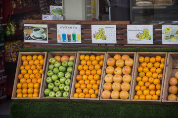 Different citrus fruits are laid out in boxes in rows