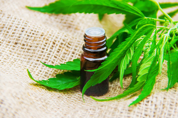 Cannabis herb and leaves for treatment