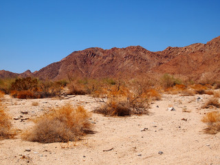 Desert Landscape Near Cottonwood Mountains
