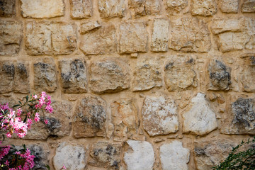 Stone wall with green bushes on top, with lilac flowers