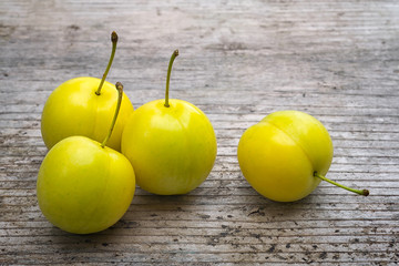 Yellow Cherry plum (Prunus cerasifera).