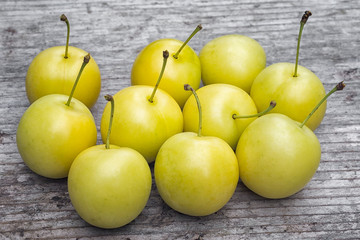 Yellow Cherry plum (Prunus cerasifera).