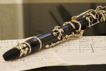 clarinet over music sheet on the piano reflecting at the surface with green plan on background...