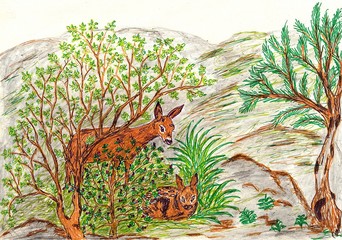 Hand drawn multicolor illustration with nature theme (deer doe in nature) - scan