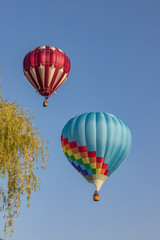 Fototapeta premium hot air balloon festival