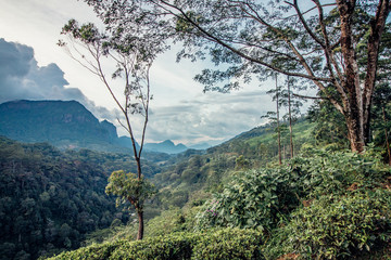 Obraz premium scenic and beautiful landscape in asia