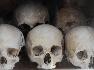 Collection of human skulls covered with spider web and dust. Rows of skulls in the dark. Abstract concept symbolizing death, transience of life, and terror