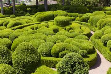 Gardens of Marqueyssac, Vezac, Dordogne, Nouevelle Aquitaine, France
