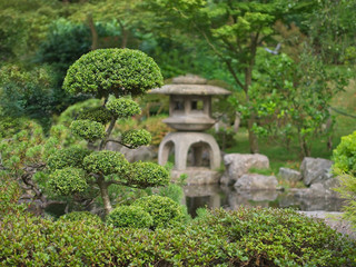 Fototapeta premium Japanese Zen garden with Bonsai and traditional stone lantern