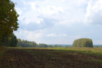 Fototapeta premium field sky nature