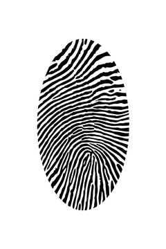 fingerprint. vector image