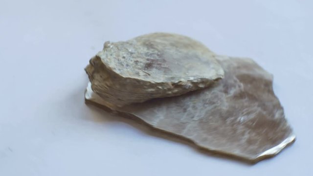 View of Muscovite mineral rock sample.