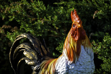 garden figure in the form of a cock