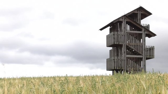 Observation tower. 