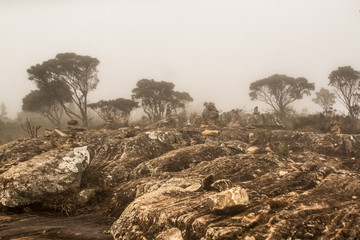 M&atilde;e Terra. Pico da Bandeira, ago/2018.