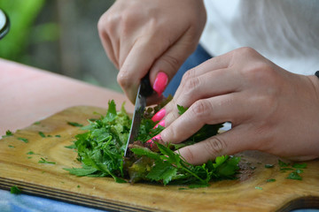 Chef cuts the vegetables into a meal. A woman uses a knife and cooks.