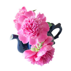 bouquet of three peonies in a blue porcelain teapot, isolated, on a white background