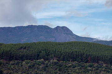 View to the  Pico do Selado  " The giant lying down". Serra da Mantiqueira. Monte Verde-MG.