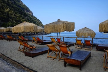 palm trees with sun loungers