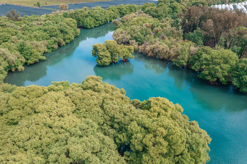 Beautiful view of the Camecuaro Lake National Park in Michoacan, Mexico 