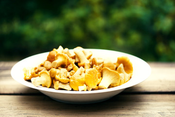 Fresh chanterelle mushrooms in a plate on an old wooden surface. Forest mushrooms