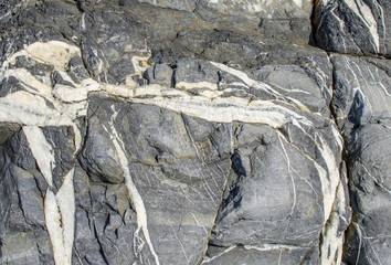 Background of a light-gray-argillite with veins of calcite.