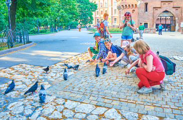 Kids and doves, Krakow, Poland - obrazy, fototapety, plakaty