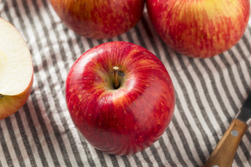 Raw Red Organic Kiku Apples