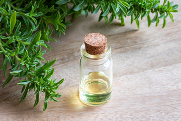 A bottle of mountain savory essential oil with fresh Satureja montana