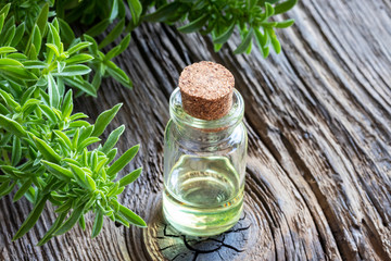 A bottle of mountain savory essential oil with fresh Satureja montana