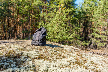 Backpack on a ground in a coniferous forest