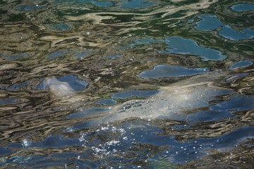La Jolla Shores, San Diego, Ca.
Breath before the Dive.