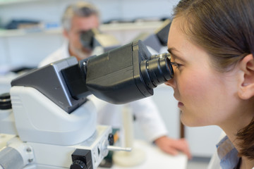 Female technician looking into microscope