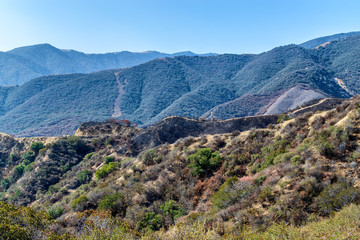 Fototapeta na wymiar Hiking trail in popular Southern California trail system shows burn damage from recent forest fires