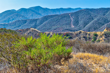 Naklejka premium California chaparral with hiking trails and mountains in the background