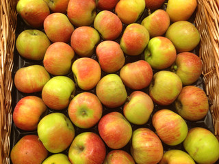 erntefrische Äpfel in Auslage